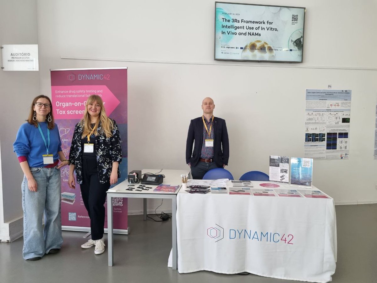 Dynamic42 GmbH tweet media