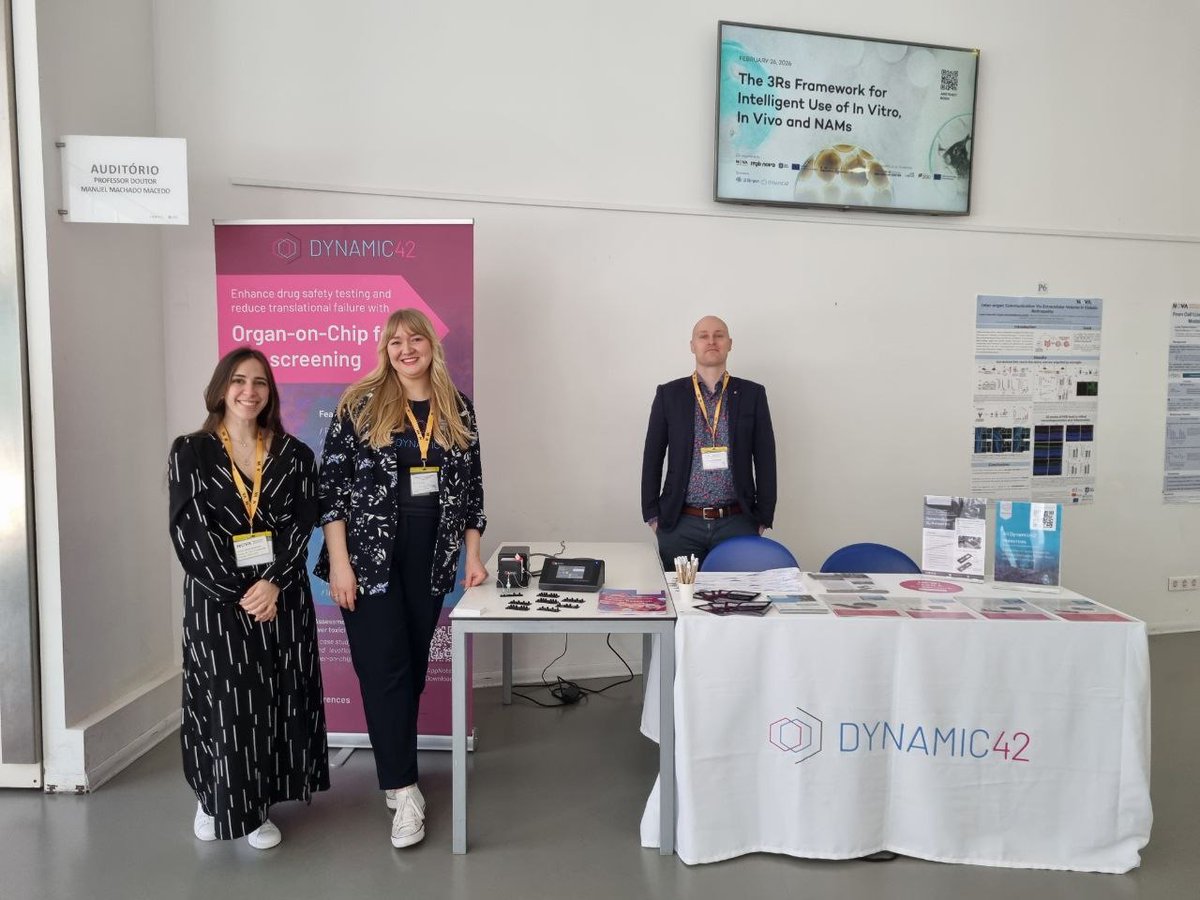 Dynamic42 GmbH tweet media