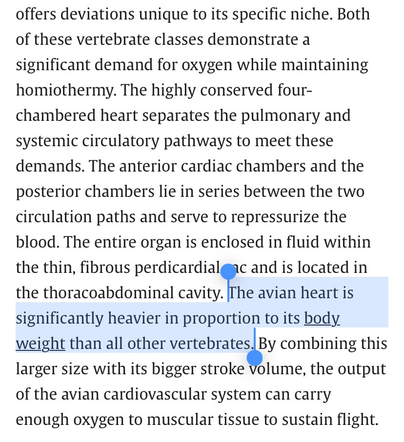 elite ball knowledge tweet media