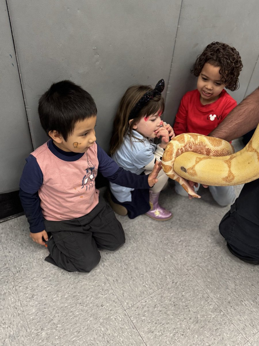 PS151K LBJ tweet media