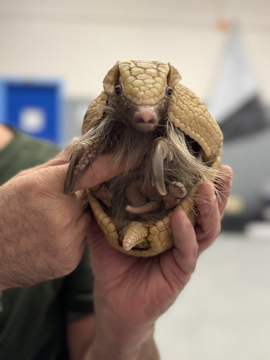 PS151K LBJ tweet media