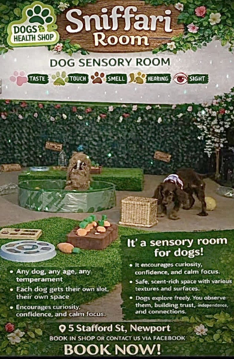 allaboutnewport's tweet photo. Did you know - Newport has the only indoor Dog sensory space in Shropshire?
Does your dog need a “safe space” to just... be a dog? 🐾
Call The Dog’s Health Shop 07585 117220 Or visit👉 https://t.co/eSWY7A7mNb
#allaboutnewport #dogssensoryroom #dogshealth #newportshropshire https://t.co/f0nFH6aChu