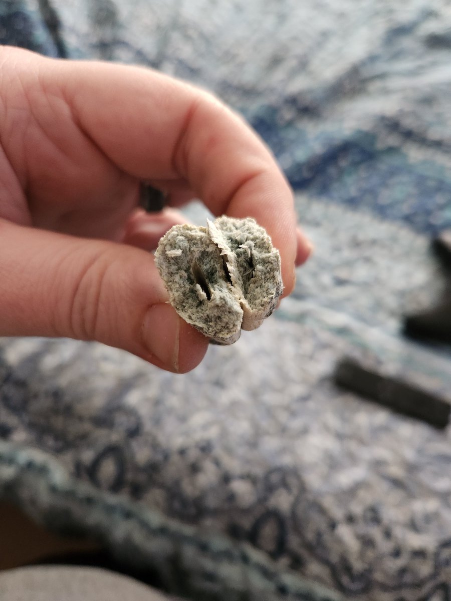 I'm going to live 50% longer!