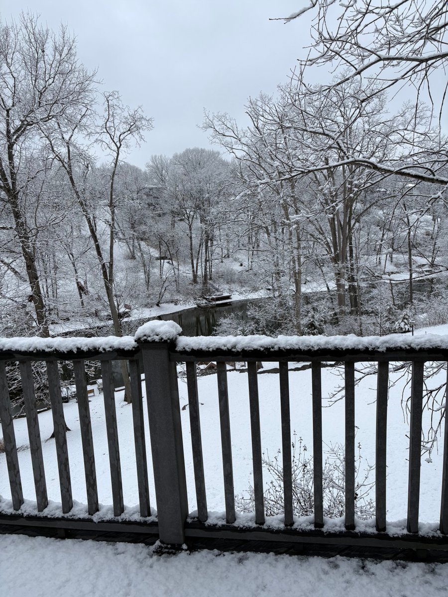 Kathy Walerius tweet media