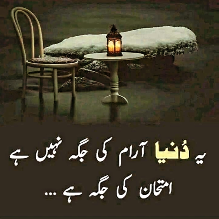 taslimasim's tweet photo. Promo
#رائے_پروموشن 
@_Rai786
@_Rai777
@_Rai72
@taslimasim
💯
@Syeda1p
@sm_040
@_its_kanwal
@haimaAni
💯
@t_bas4
@0pakpti1
@_Akmal__
@Rizvi01100
@ZT_786
💯
@M_a_143
@Bee_Classy4
@1Sehar_
@Adnff1

💯

🌴🌴🌴

7688 https://t.co/aj69u1AC8B