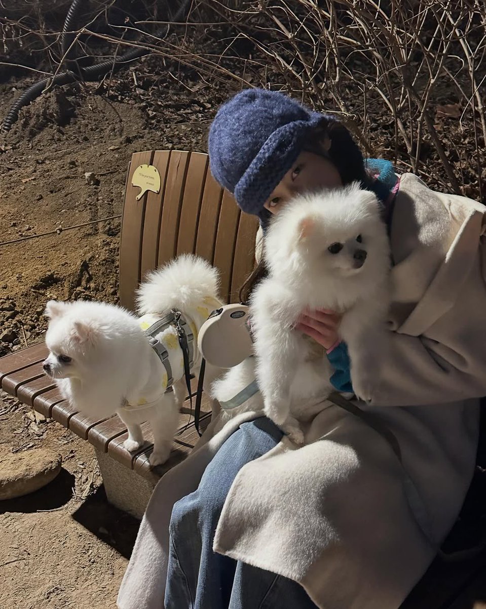 Iovelia's tweet photo. More from the twin puppies playdate: https://t.co/EGezF9hlJj https://t.co/lSS24VDxD2