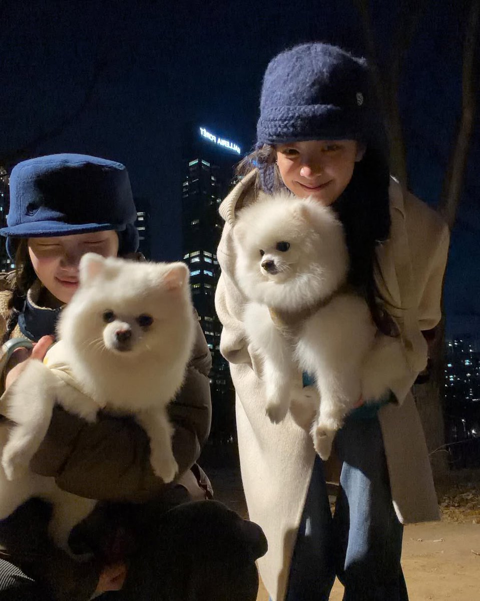 Iovelia's tweet photo. More from the twin puppies playdate: https://t.co/EGezF9hlJj https://t.co/lSS24VDxD2