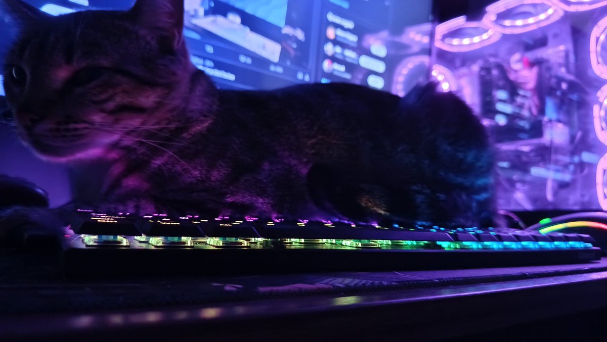 Mr.DyonyKleber tweet media