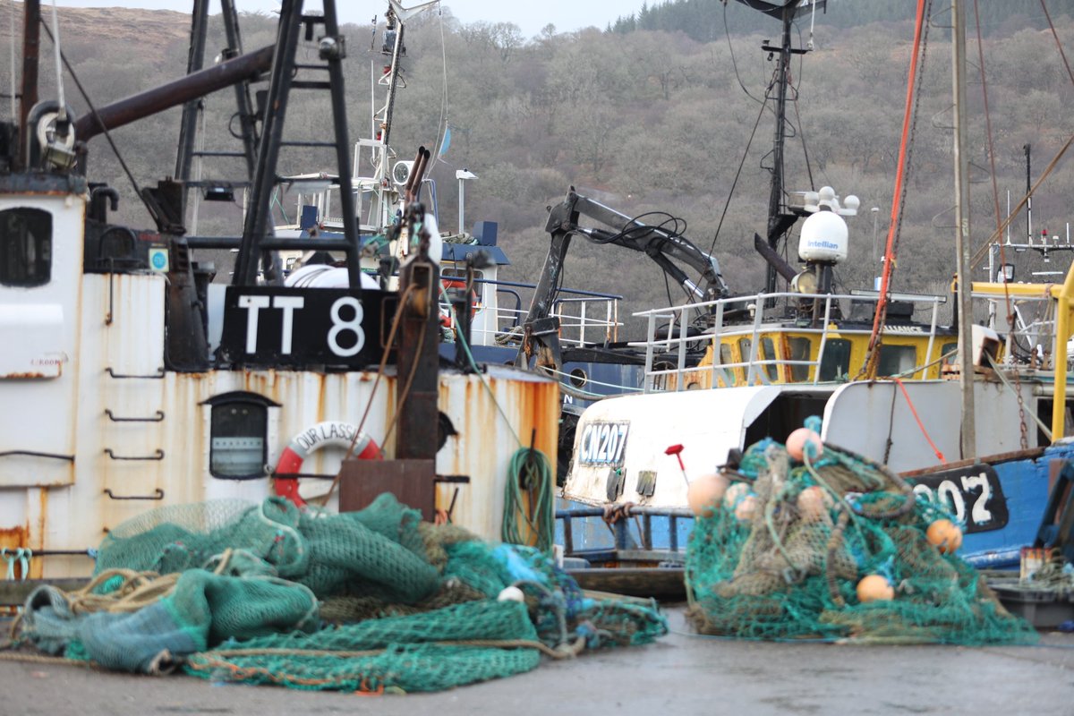 Robert Macleod tweet media