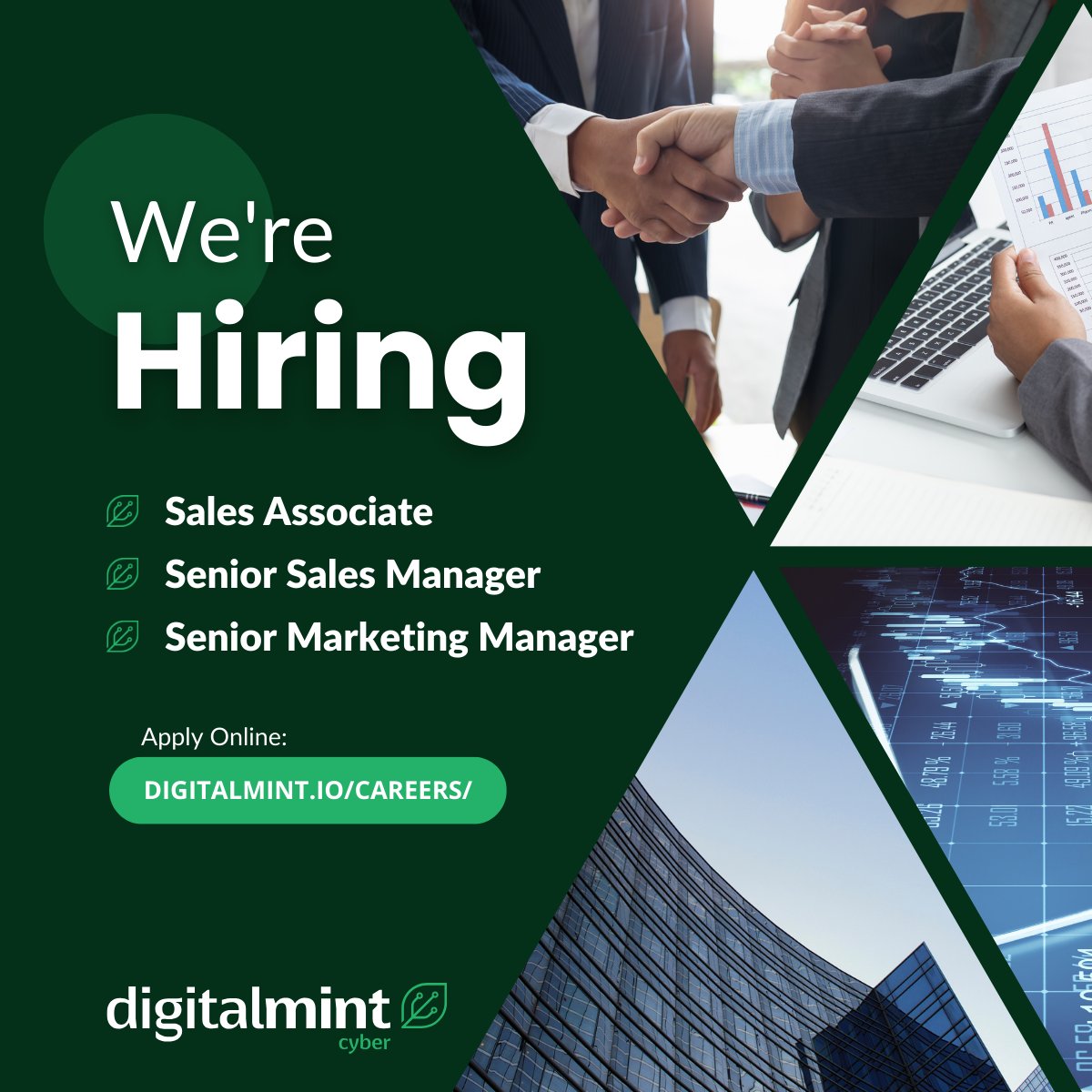 DigitalMint Cyber tweet media