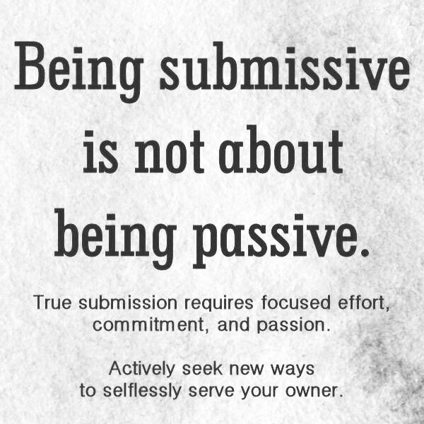 Master Domador tweet media