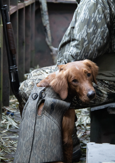 American Hunter tweet media