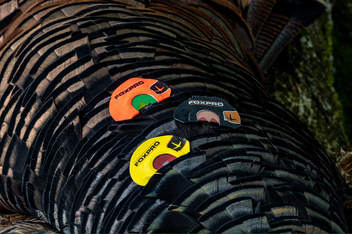 FOXPRO Inc. tweet media