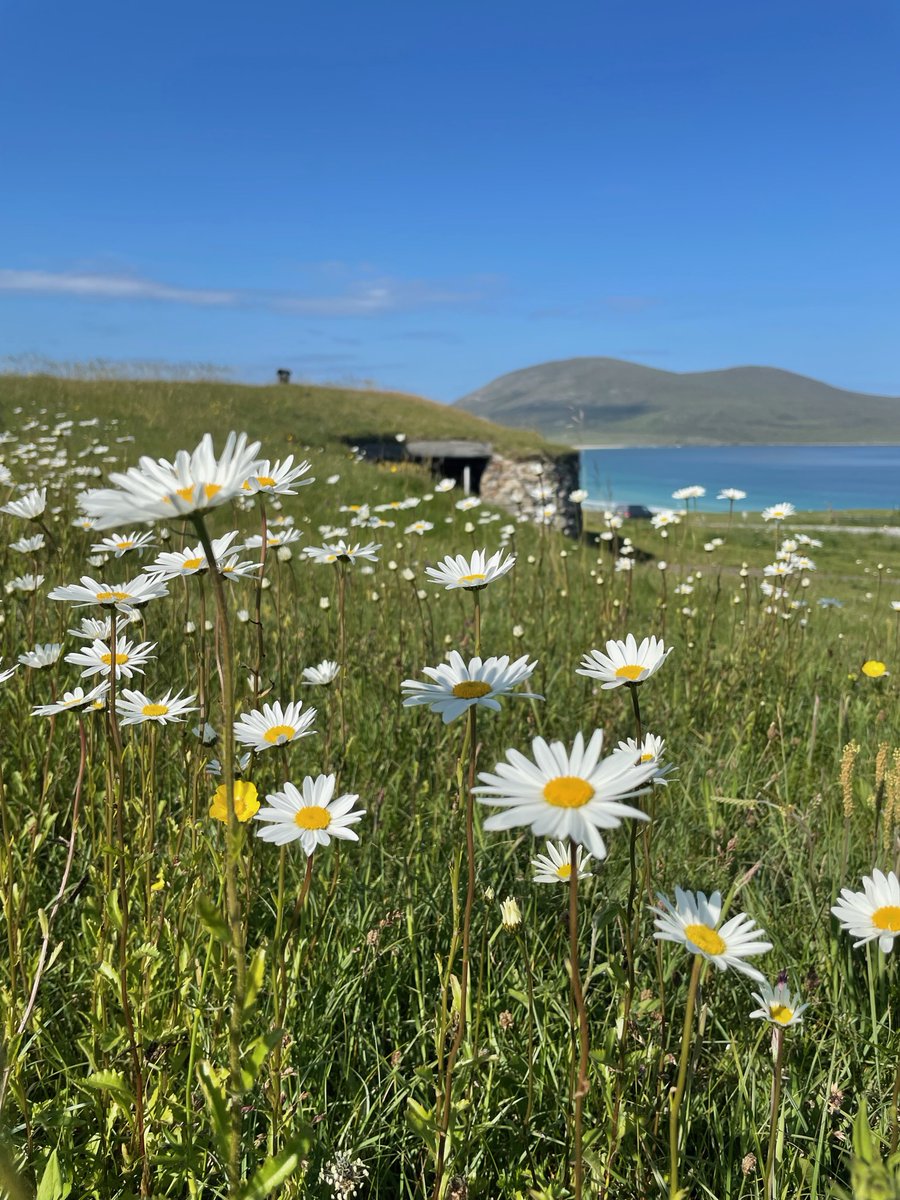 EmbraceScotland tweet media