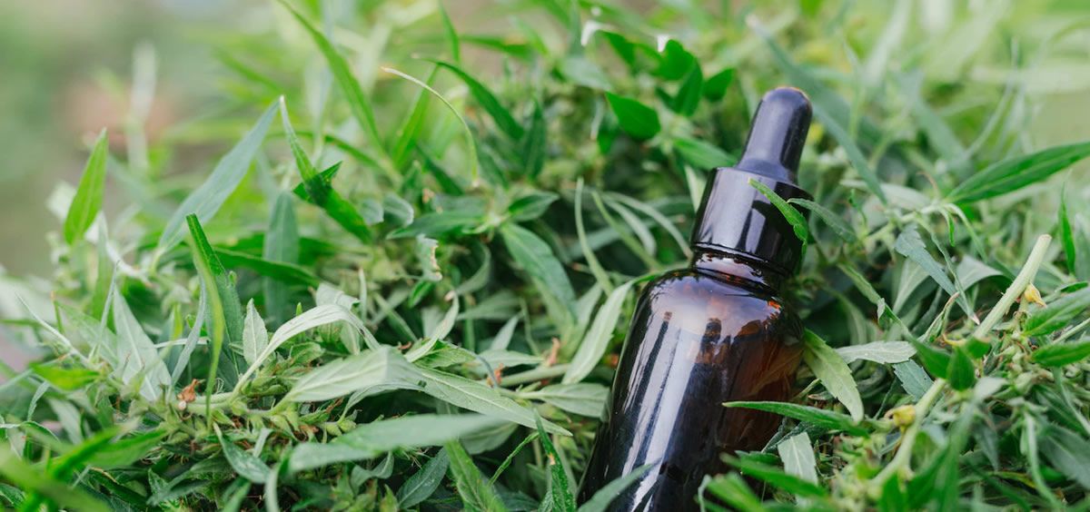 SaluDigital tweet media