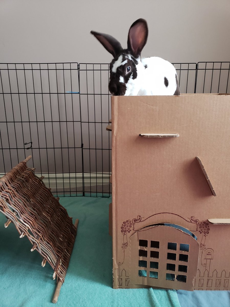 Tranquility Trail tweet media