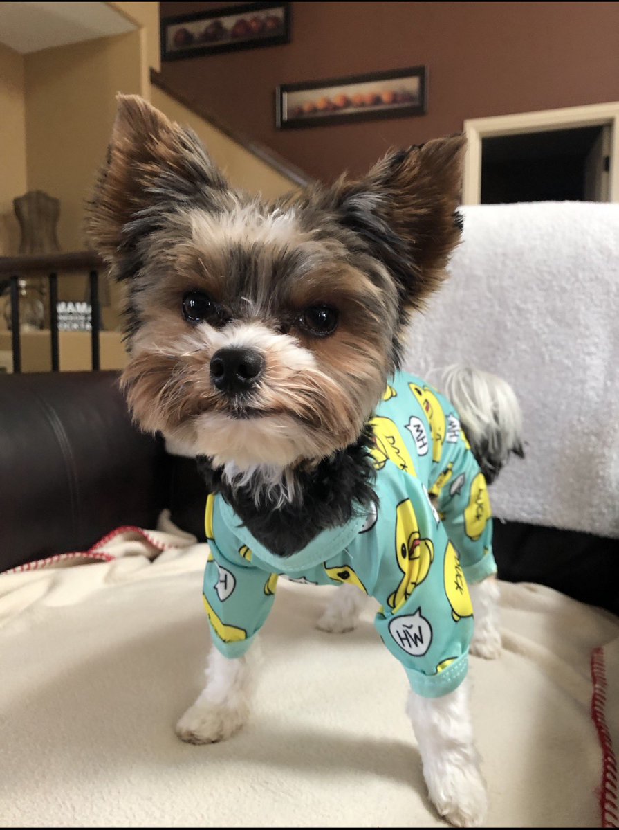 レッドバロン🇩🇪(元零中) (@toshizo56048514) / Posts / X