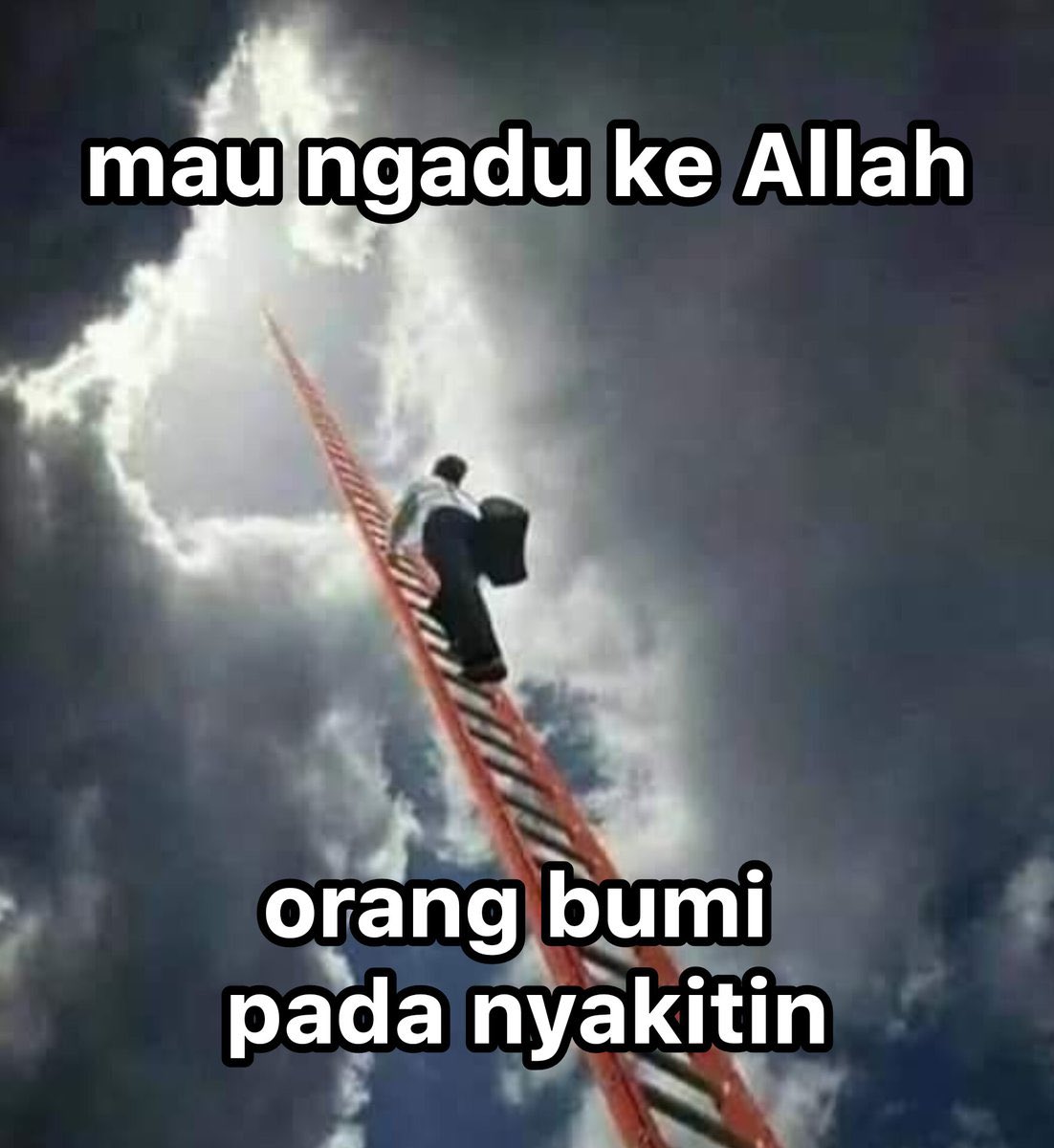 frederica tweet media