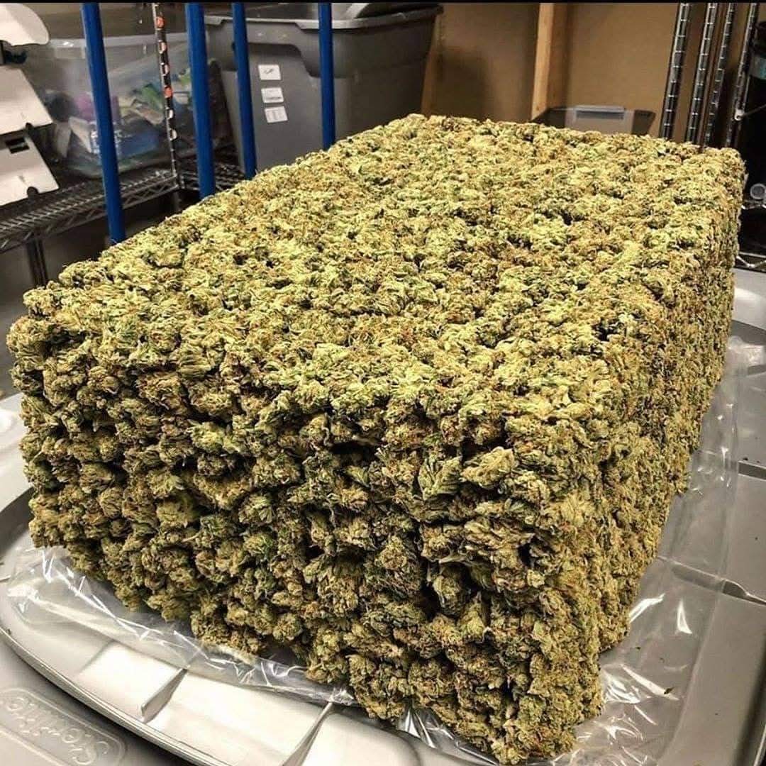 How long will this last you?🌿