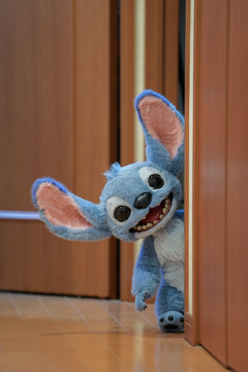 いい子、来たよ！

今日からオハナ🌺
ほんとかわいい💙ふわふわモフモフ！
早くディズニーに連れていきたいw

#ホットトイズ #スティッチ