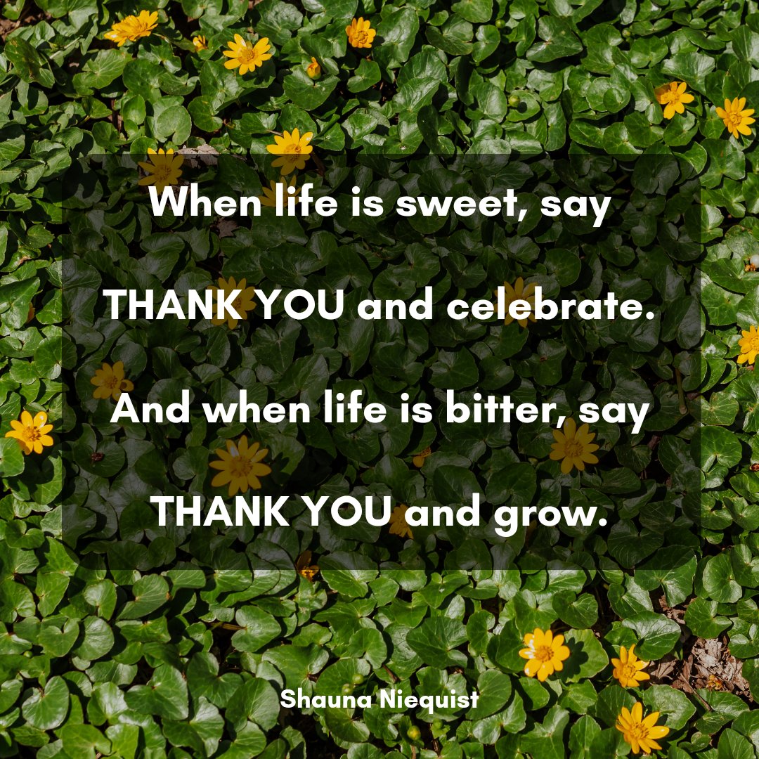 DanicaDreamer's tweet photo. Happy Thursday! #ThankfulThursday #attitudeofgratitude #growthroughwhatyougothrough #lessonslearnedinlife #celebratethejourney #youcandoanything #danicadreamer https://t.co/JdsKm6iMSF