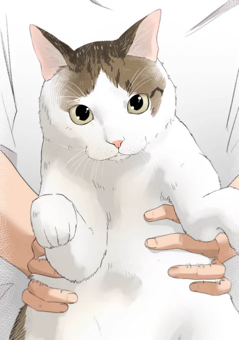 【また描いてもらいました】 本物に比べて可愛い過ぎるのではないかとワイの中で話題になっています まるいぜ ふといぜ かわいいぜ