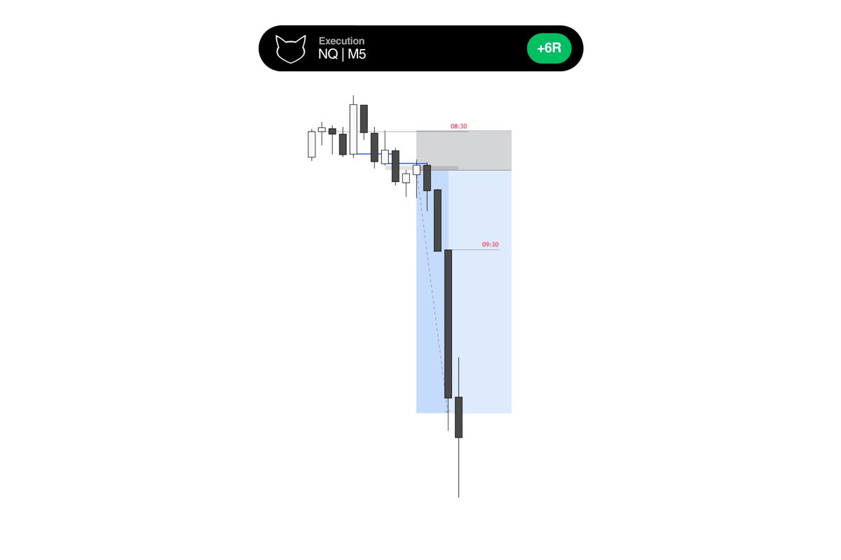 Meow The Market tweet media