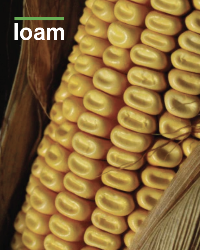 Agronomic Basics of Carbon - the ABC’s of soil structure &amp; NUE. Getting back to the basics of carbon’s role, we see how farmers storing more of it expands soil’s nutrient- and water-holding capacity. Healthier soil = more productive crops = smarter ROI.  bit.ly/4kScaZK