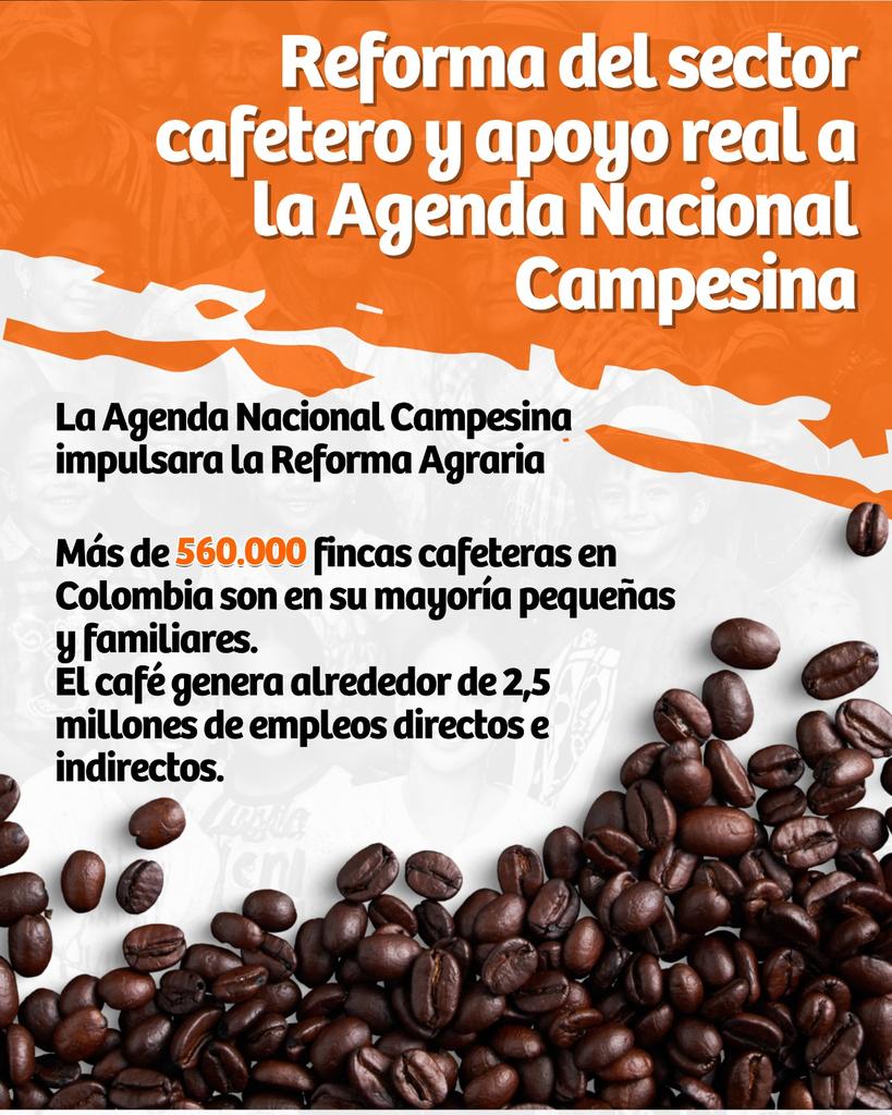 El Profe Julián Cortés 23 Senado tweet media