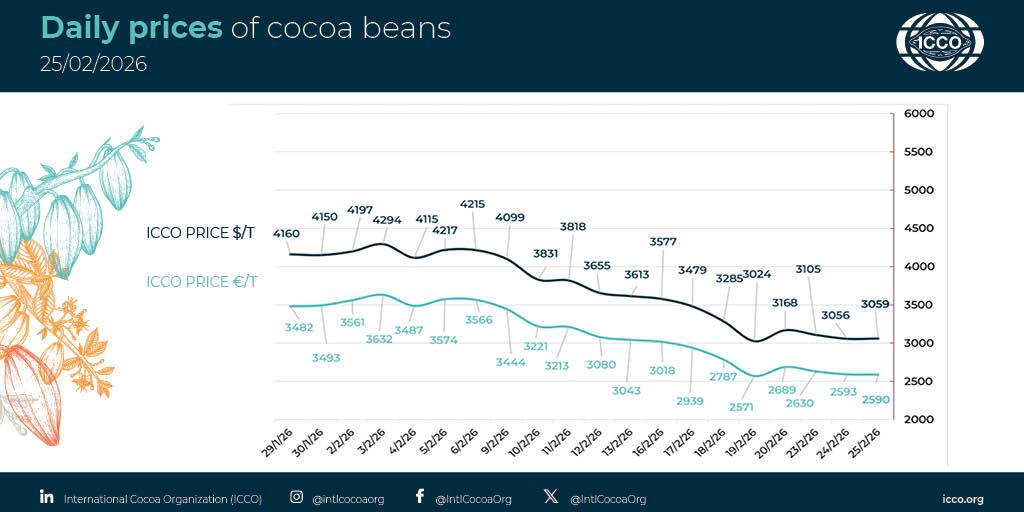 International Cocoa Organization (ICCO) tweet media