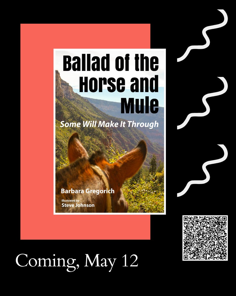 Barbara Gregorich tweet media