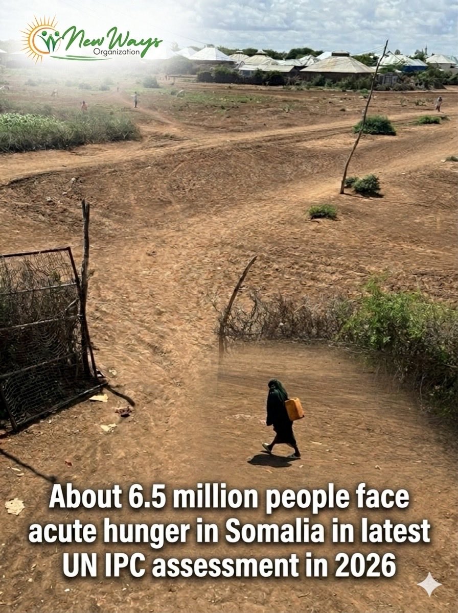 New Ways Organization tweet media