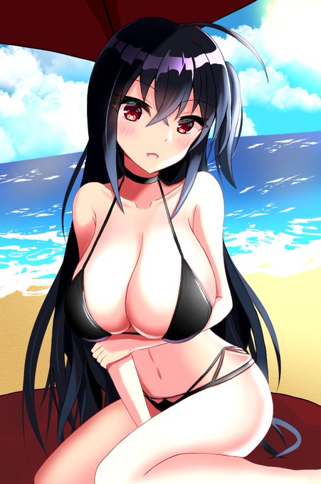 これは3年半くらい前に描いた大鳳
ぴくしぶに上げて一日でブクマ100超えてすっごい驚いた記憶 