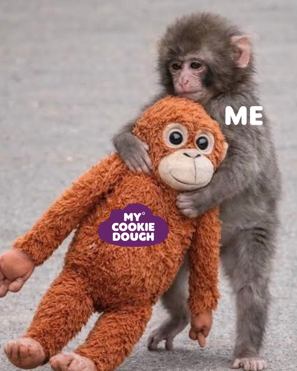 Punch the monkey has his plushie and we have MyCookieDough 💜

#PunchMonkey #PunchTheMonkey #emotionalsupport #mycookiedough #sweettreat