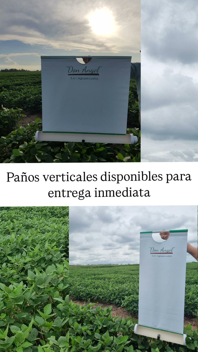 DonAnge26917020's tweet photo. Paños verticales y caladores de suelos disponibles para enviar a todo el país. Su consulta no molesta! A disposición para asesorarlos en el producto acorde a sus necesidades y objetivos. https://t.co/XLKWJ265Hp https://t.co/m7tylJbiUJ