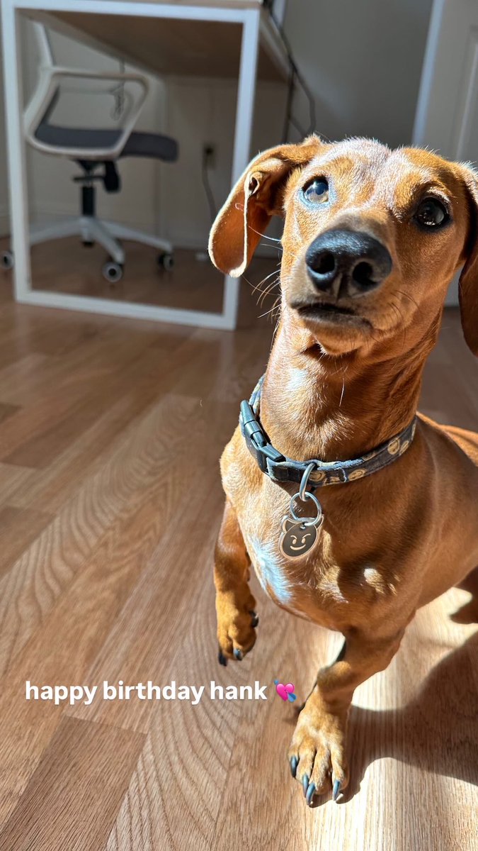 princess diana tweet media