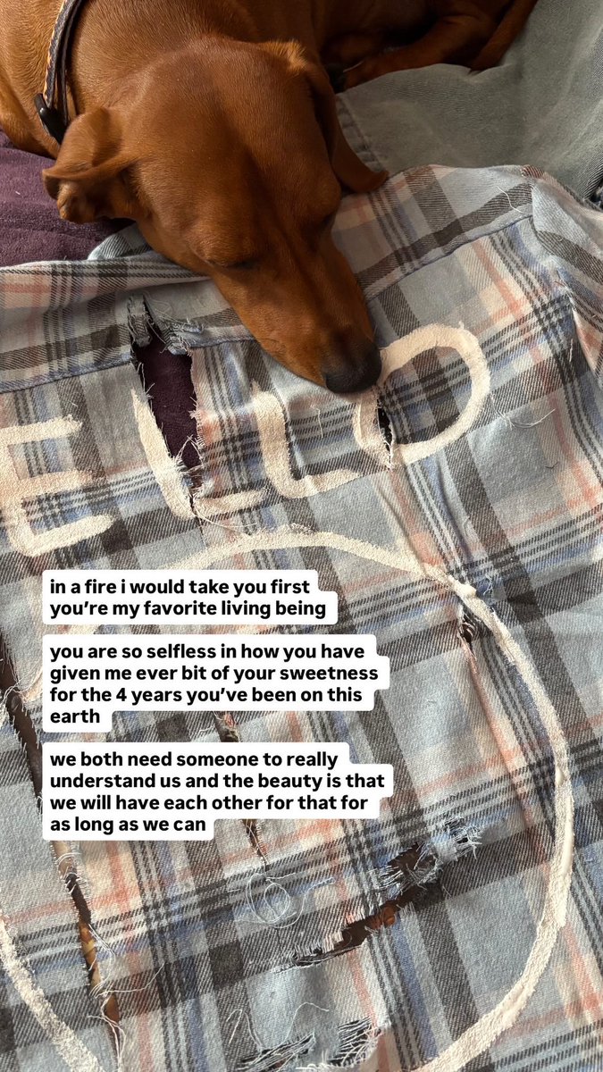 princess diana tweet media