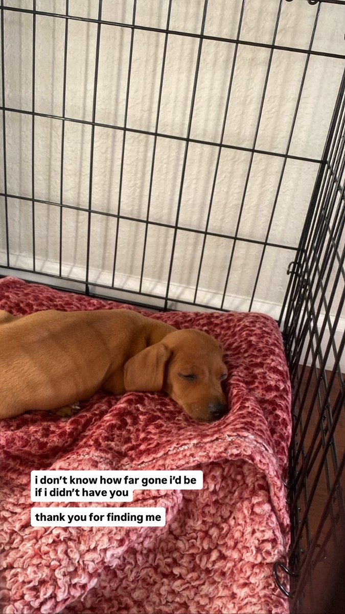 princess diana tweet media