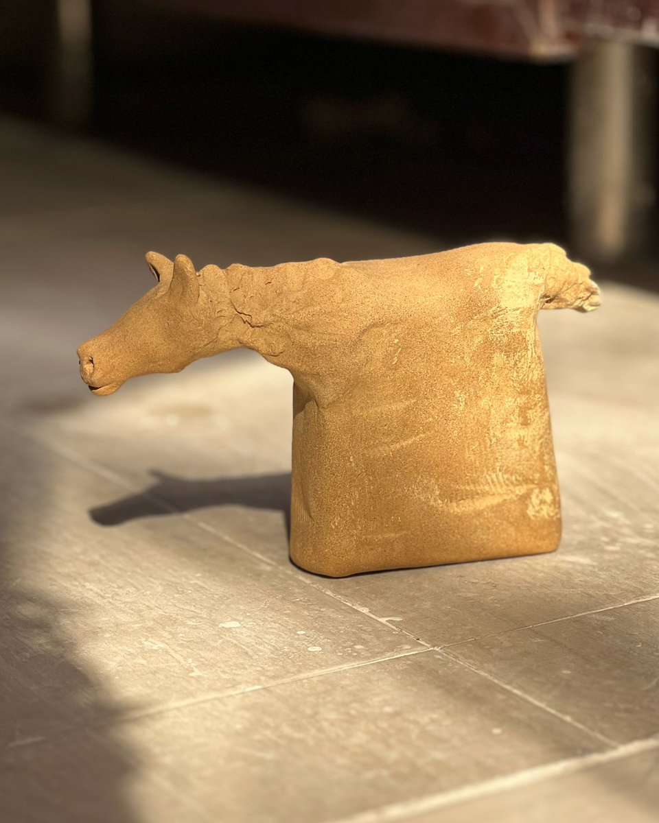 mina amin tweet media