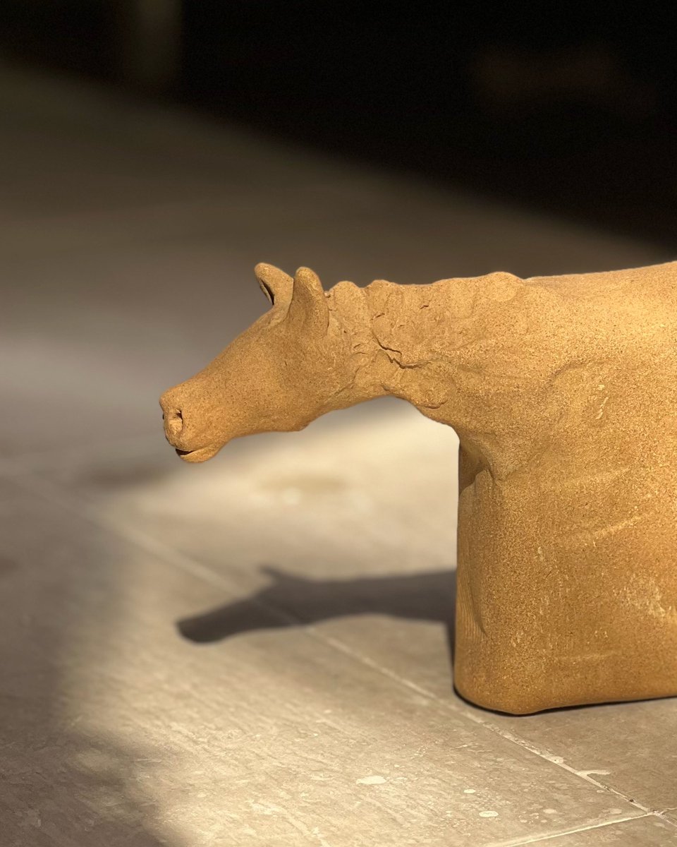 mina amin tweet media