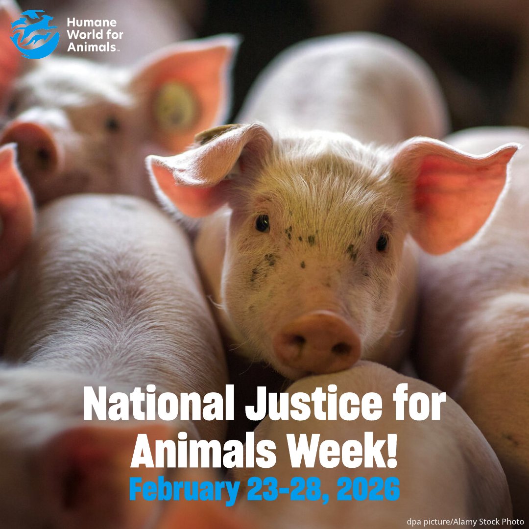 Humane World Farm Animals tweet media