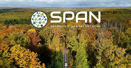 NCP LIFE IT 🇮🇹 tweet media