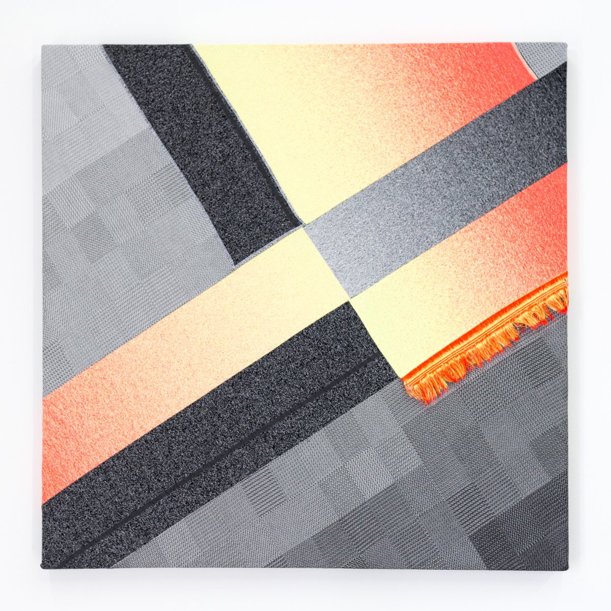 Phillip D Stearns tweet media