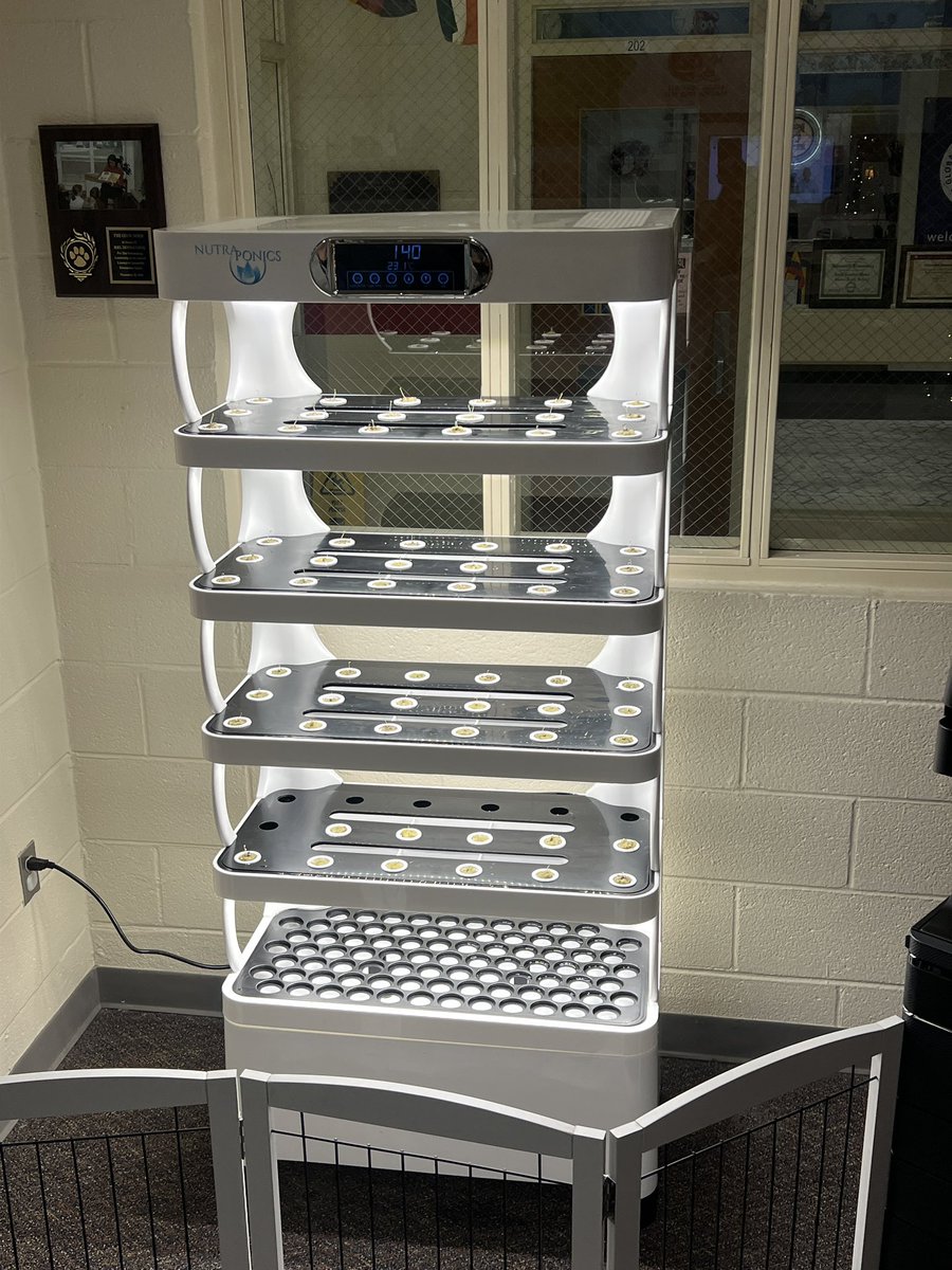 UnionvilleESNC's tweet image. We are GROWING with AG TECH at Unionville! 
#hydroponics
#newopportunities  @AGHoulihan @UCPSNC
