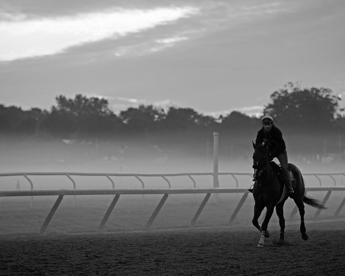 Grayson-Jockey Club tweet media