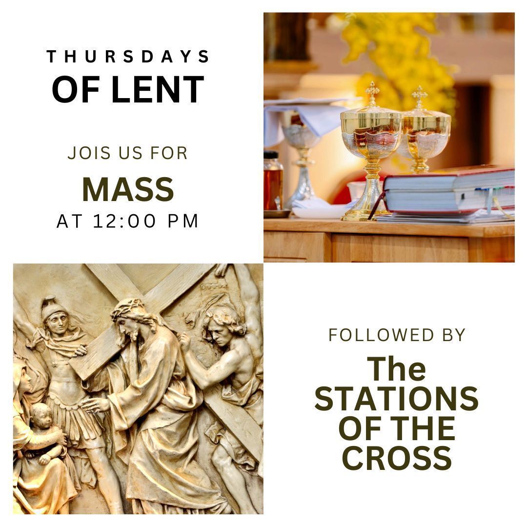 Take a moment to pray and reflect. 🙏
Join us today—and every Thursday of Lent—at Noon for Mass, followed by the Stations of the Cross.
Come and walk with Jesus, deepen your prayer, and prepare your heart this Lenten season. All are welcome.