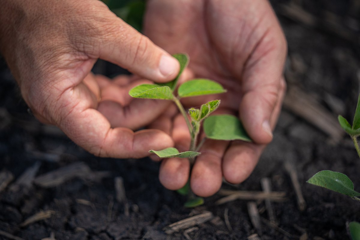 Rob-See-Co tweet media