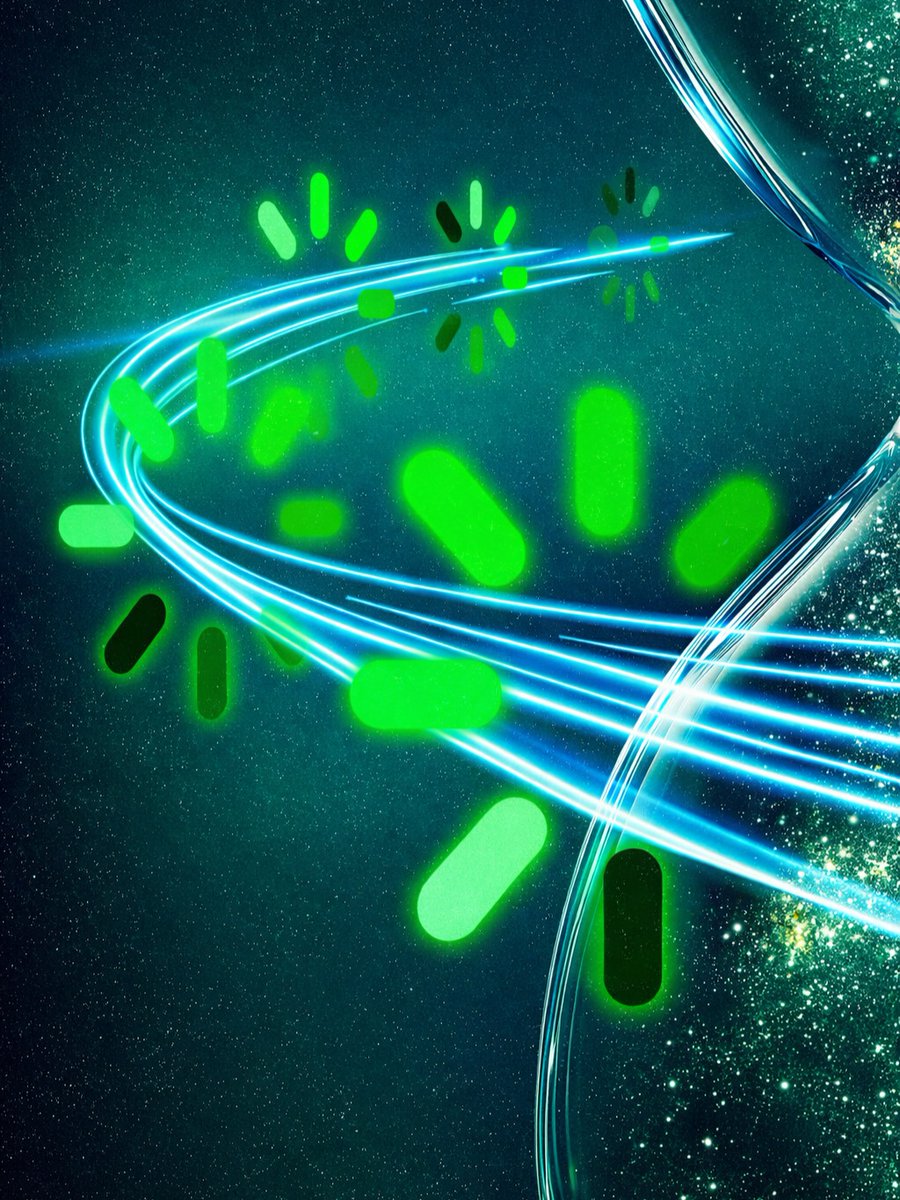 RLE at MIT tweet media