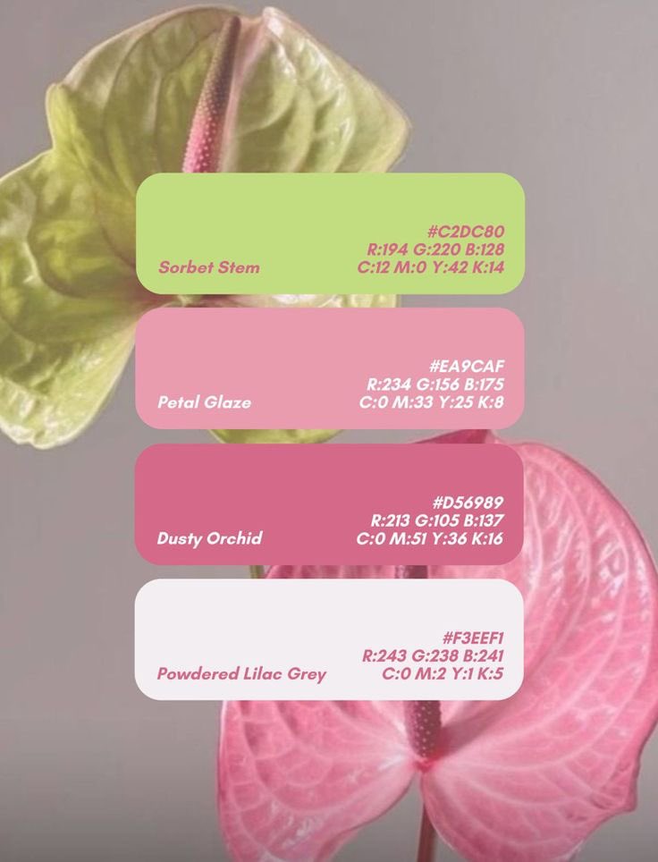 designatmo's tweet photo. COLOR PALETTE https://t.co/lIhgkXzNte