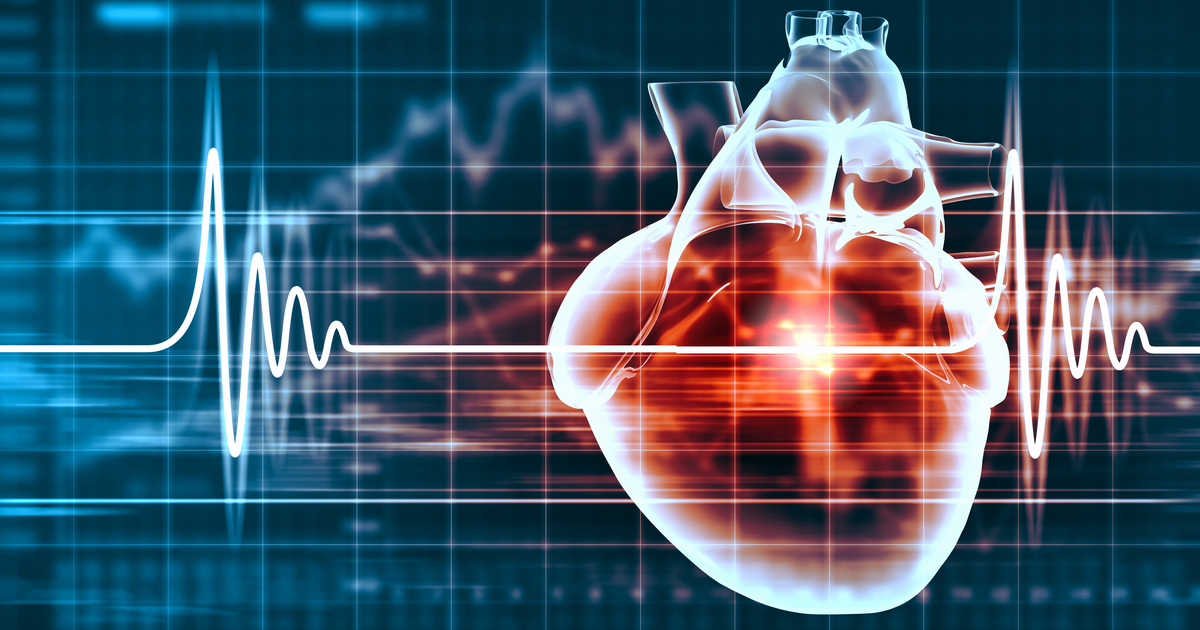 School of Health & Medical Sciences tweet media